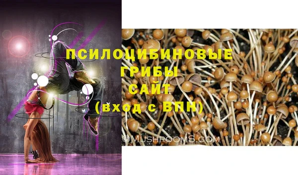 дживик Алексин
