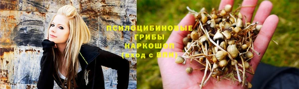 дживик Алексин